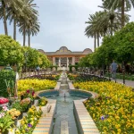 خرید دولینگو تضمینی در شیراز